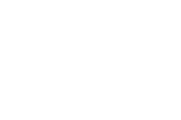 Fg logo hvit