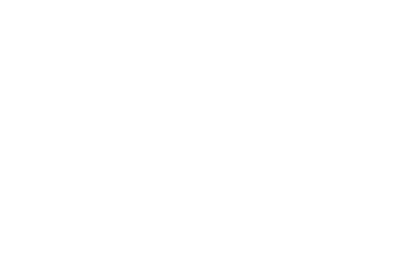 Sentralt godkjent logo hvit